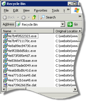 Empty the recycle bin from the command line | Remote Administration For